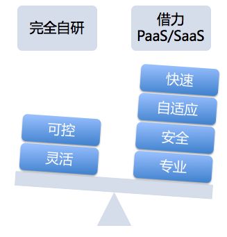 SAAS对比开发